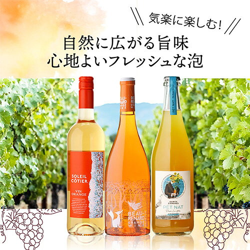 1本あたり2,500円(税込) 送料無料 ペットナット オレンジワイン 3本セット 3弾 750ml 3本入 ナチュラルワイン ワインセット 浜運A ワイン cellar-10035544 ワイン&ワインセラー セラー専科 サンプル画像2
