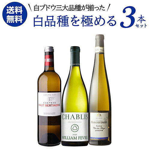 Rakuten - 【誰でもP10倍 スーパーSALE中】1本あたり3,960円(税込) 送料無料 白品種を極める 三大品種 白ワイン 3本セット 5弾 750ml 3本入リースリング ソーヴィニヨンブラン シャルドネ ワインセット 浜運A ワイン
