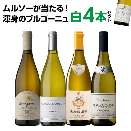 【1本あたり3,300円 送料無料】渾身のブルゴーニュ白4本セット 19弾ワインセット 白ワイン シャルドネ 飲み比べセット 白ワインセット 浜運A 手土産 お祝い ギフト ワイン