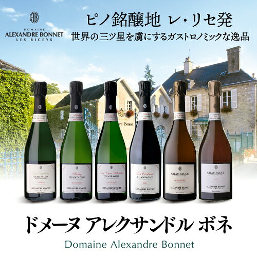 送料無料 ドメーヌ アレクサンドル ボネ レ ヴィーニュ ブランシュ [2019] 正規品 箱なし RM 750ml コート デ バール レ リセ シャンパーニュ 極辛口 シャンパン 浜運A cellar-10037751 ワイン&ワインセラー セラー専科 サンプル画像3