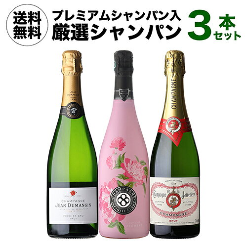 1本あたり11,000円 厳選シャンパン3本セット シャンパンセット シャンパーニュ プレゼント 浜運 ワイン