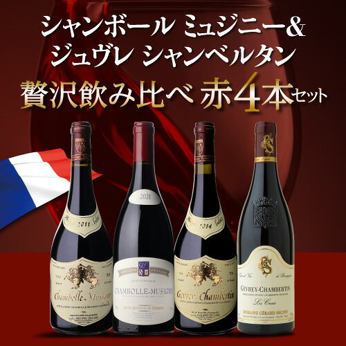 1本あたり12,000円(税込) 送料無料 シャンボール ミュジニー&ジュヴレ シャンベルタン飲み比べ4本セット 750ml 4本入 ブルゴーニュ ワインセット 浜運 ワイン cellar-10038488 ワイン&ワインセラー セラー専科 サンプル画像2