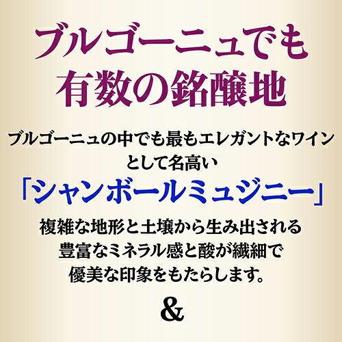 1本あたり12,000円(税込) 送料無料 シャンボール ミュジニー&ジュヴレ シャンベルタン飲み比べ4本セット 750ml 4本入 ブルゴーニュ ワインセット 浜運 ワイン cellar-10038488 ワイン&ワインセラー セラー専科 サンプル画像3