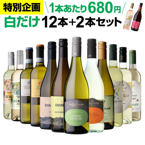 乐天商城 - 【1本あたり680円 】42％OFF 白だけ 特選 ワイン 12本+2本セット(合計14本) 白ワイン 辛口 セット ワインセット 白 白ワイン 白ワインセット フランス イタリア 金賞 wine 飲み比べ 人気 196弾 浜運A
