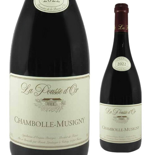 シャンボール ミュジニー [2022] ラ プス ドール 正規品 750ml フランス ブルゴーニュ 辛口 赤ワイン 虎姫 cellar-10038619 ワイン&ワインセラー セラー専科 パッケージ画像