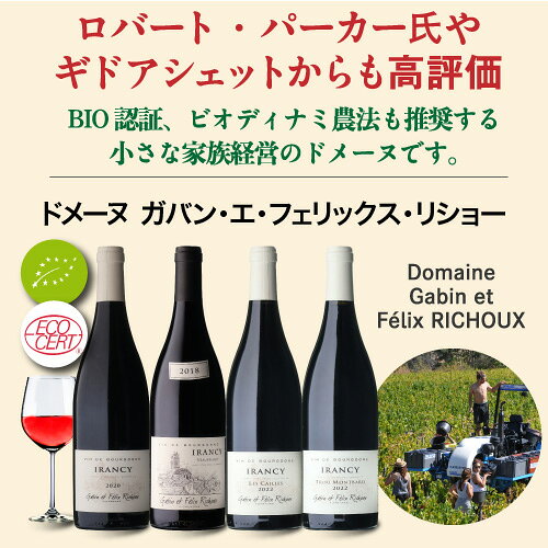 送料無料 イランシー ヴォーペッシオ [2018] ガバン エ フェリックス リシュー 750ml フランス ブルゴーニュ ピノ ノワール ビオ オーガニック ギャヴァン リショー 赤ワイン 辛口 浜運 ワイン cellar-10034097 ワイン&ワインセラー セラー専科 サンプル画像3