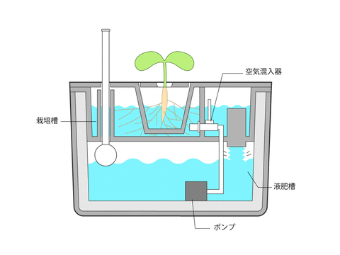 水耕栽培キットmasukoマスコ協和ハイポニカホームハイポニカ水栽培ハイドロカルチャー
