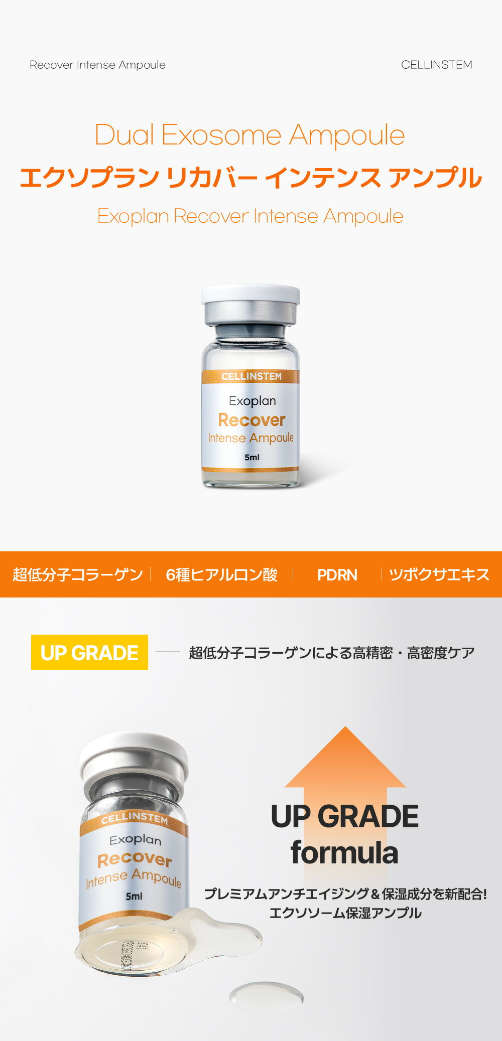 エキソプラン リカバー インテンス アンプル ...の紹介画像3