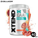 【CELLUCOR公式ストア】エクステンド EAA ブラッドオレンジ味 40回分 XTEND Blood Orange 必須アミノ酸 筋トレ トレーニング ダイエット パウダー