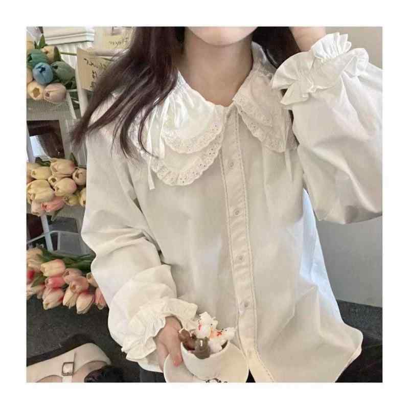 �֥饦�� ��ǥ����� ���� ���� ���襤�� �졼�� �ե�� �դ��� ��ܥ� Ĺµ ����ʡ� ���ʻȤ� �ե��ߥ˥� ��