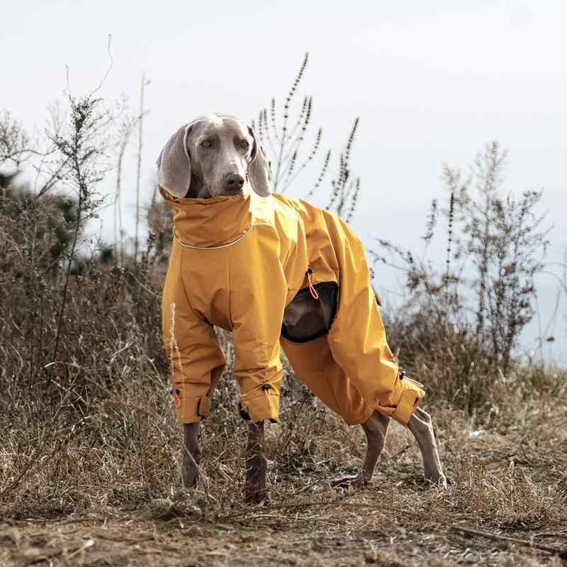 ドッグウェア 犬服 中大型犬用 4WAY仕様 防泼水 防風 保温性抜群 快適フィット 全身カバー 散歩 お出かけ 秋冬