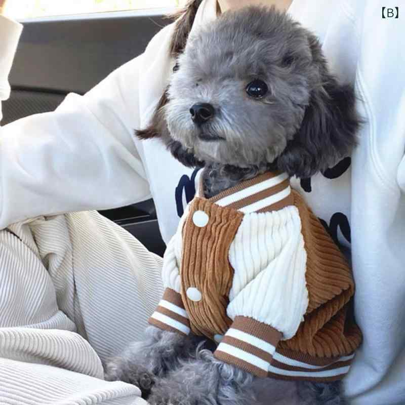 �ڥå��� ������ ǭ ���� ���㥱�å� ����� ���� ���� �ƥǥ� �ӥ���� �ݥ��˥��� �Ȥ� ���ʻȤ�