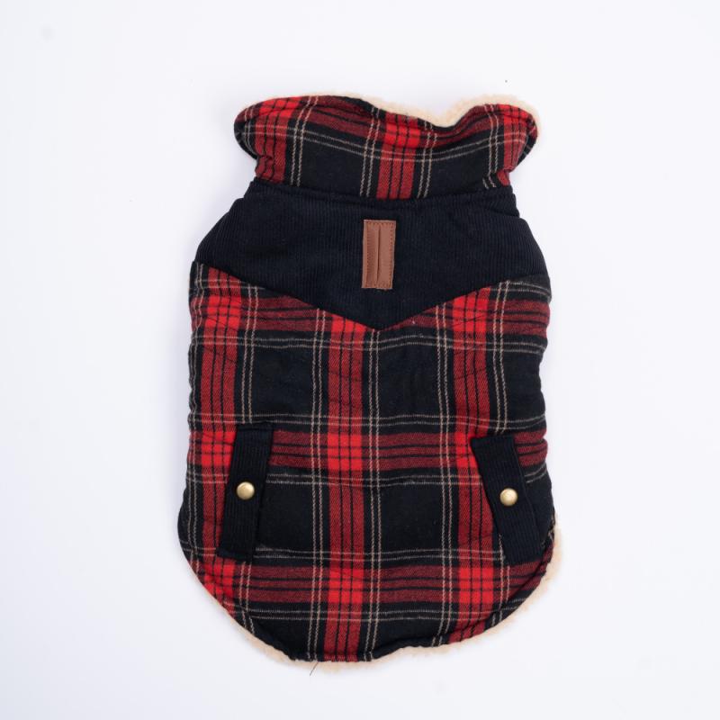 �ڥå��� ������ ���� �ʻ��� �ե꡼�� ���åȥ� ������ �֥�å� �����ܥ꡼ �ԥ�