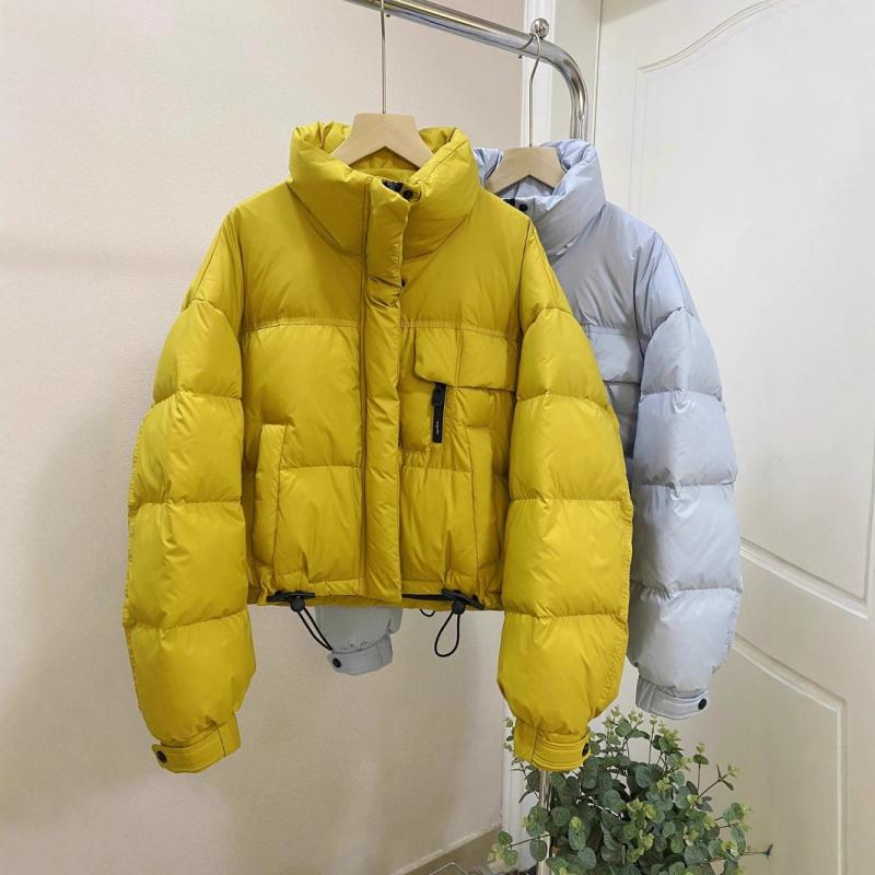 秋冬 レディース ショート丈 ダウンジャケット 小柄向け 韓国風 スタンドカラー ファッション コート アウター 暖か 軽量 保温 通勤 日常 冬ファッション 防寒 スタイリッシュ