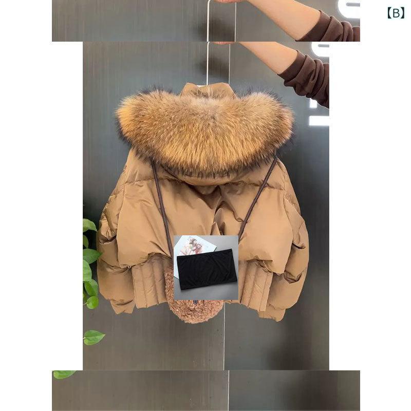 ���åȥ󥸥㥱�å� ��ǥ����� ���� ��ä��� �ա����դ� �֥饦�� ������ ���� ���� ���Ǻ� ���� �˥å�