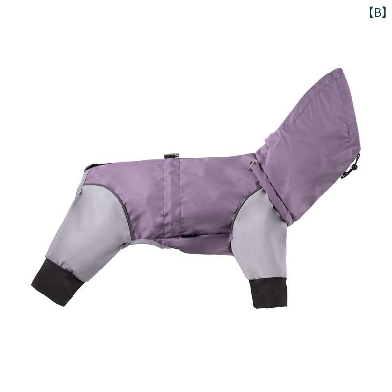 ���ѥ쥤�󥳡��� �緿�� �淿�� ������ �ɿ� �ͤ�­����� �꡼���б� �����ȥɥ� ���� �ɥ饤�� �Х��� ��ž�� �ϥ����� �ȥ�å��� ������ �ڥå���