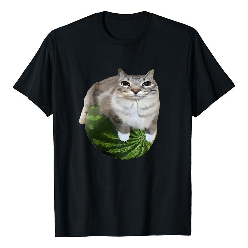 T����� ��ǥ����� ������ǭ�ץ��� ��ä��� �����奢�� ���ݡ��� ûµ �ȥåץ� ����Ȥ� ���襤�� �ǥ����� Ⱦµ �롼���ե��å� �����ƥ��֥����� ��...