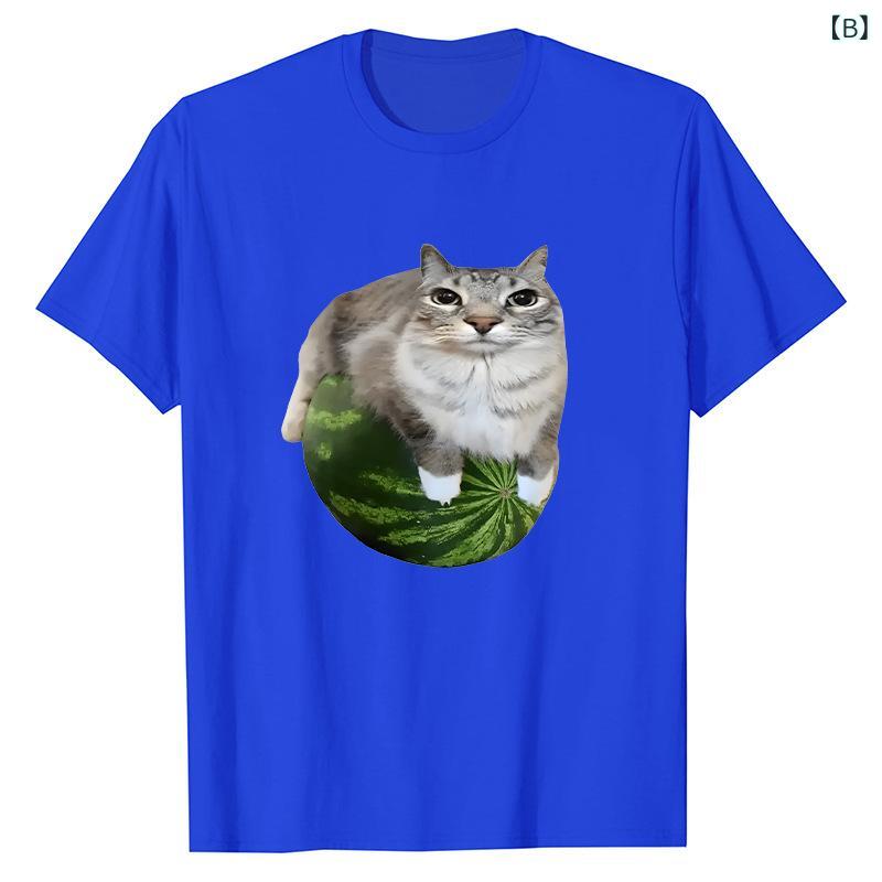 Tシャツ レディース スイカ猫プリント ゆった...の紹介画像3