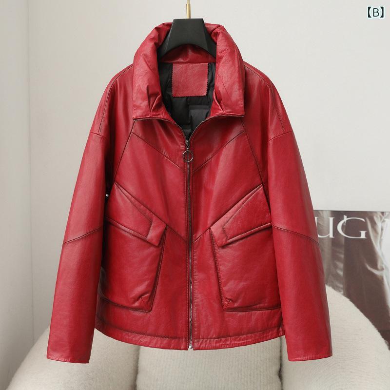 ��ǥ����� �����󥸥㥱�å� �ܳ� �ӳ� �����ץ����� �쥶�� ���硼�Ⱦ� �������� ���� �ɴ� �Ȥ��� ���� �⸫�� ���줤�� �̶� �����奢�� �� �������� ������