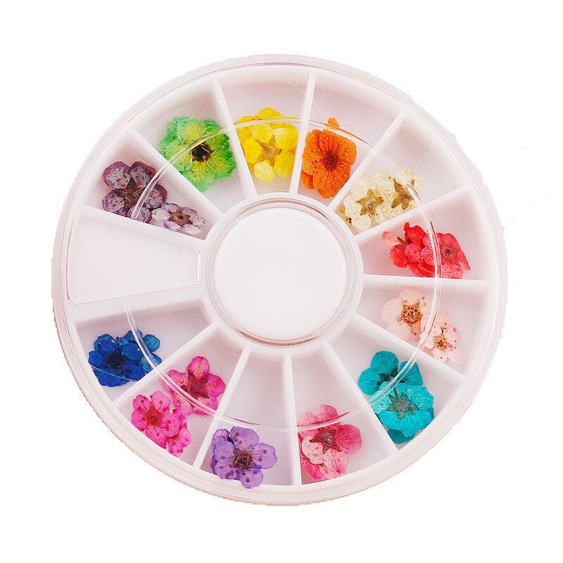 レディース ネイルパーツ ドライフラワー 12色セット 押し花 3D 立体 ジェルネイル レジン デコパーツ 上品 高見え 大人可愛い セルフネイル ハンドメイド アクセサリーパーツ