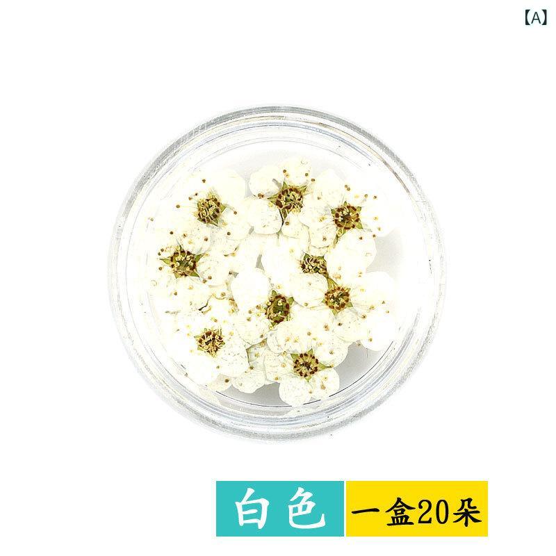 押し花 ドライフラワー 素材セット 小梅 水仙 本物の花 ネイルアート レジン封入 ...