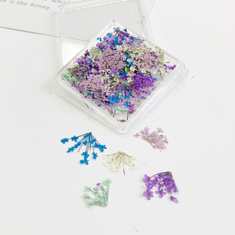 ネイルパーツ 押し花 ドライフラワー 小花 花材 染色 レジン封入 ハンドメイド DIY 素材 アクセサリーパーツ デコパーツ ジェルネイル セルフネイル ネイルアート 和風 レジンクラフト クラフト資材 大人可愛い 上品 トレンド