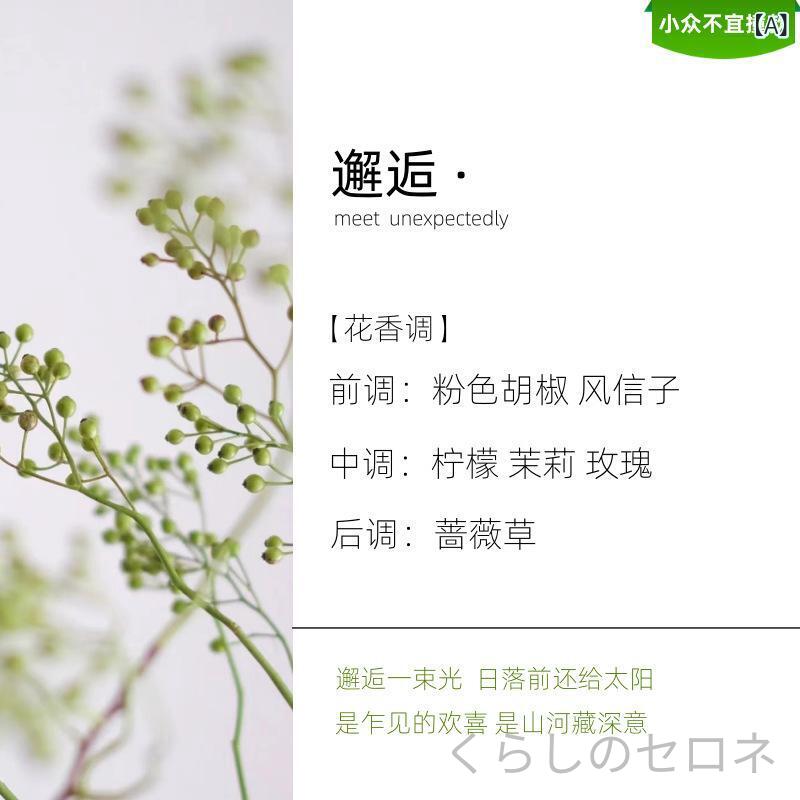 アロマキャンドル 女性用 カメリアの香り 寝室 ロマンチック 香氛 インスタ風 ディ...