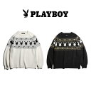 【PLAYBOY / プレイボーイ】 80S PLAYBOY CREW NECK SWEATER クルーネック セーター ラグランパターン ダブルジャガード