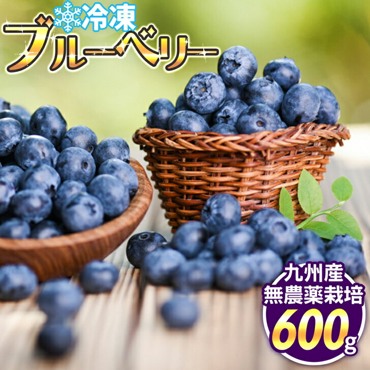 【 スーパーSALE】【無農薬】熊本県八代産 冷凍ブルーベリー 600g デザート 【送料無料】 【冷凍便でお届け】 プレゼント ギフト お祝い 誕生日 取り寄せ お中元 お歳暮 母の日 父の日 こどもの日 敬老の日 サプライズ