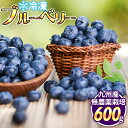 【無農薬】熊本県八代産 冷凍ブルーベリー 600g デザート 【送料無料】 【冷凍便でお届け】 プレゼント ギフト お祝い 誕生日 取り寄せ お中元 お歳暮 母の日 父の日 こどもの日 敬老の日 サプ…