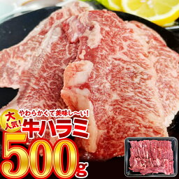 九州産 黒毛和牛 ハラミ 焼肉用 500g 焼肉 バーベキュー 焼肉丼 国産牛 お肉 牛肉 冷凍 国産 WAGYU BBQ 【送料無料】 【冷凍便でお届け】 お祝い 誕生日 取り寄せ お歳暮 敬老の日 サプライズ