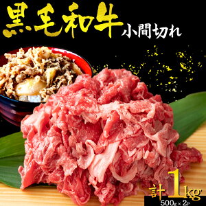 九州産 黒毛和牛 切り落とし 1kg 牛丼 炒めもの 国産牛 お肉 牛肉 冷凍 国産 WAGYU【送料無料】 【冷凍便でお届け】【部位・形状不揃いの為、訳あり】