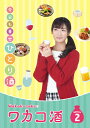 ワカコ酒 Season2 DVD-BOX(4枚組/本編Disc3枚+特典Disc1枚) 新品