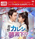 妄想カレシは夢殿下!?DVD-BOX2(6枚組)<シンプルBOX 5,000円シリーズ> 新品