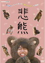 悲熊 DVD 新品