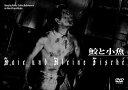 鮫と小魚 DVD 新品