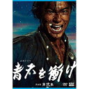 大河ドラマ 青天を衝け 完全版 第弐集 DVD-BOX 新品