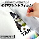DTFプリントフィルム DTFプリント 印刷代行サービス A4 A3 560mm×1000mm【DTF オリジナル プリント 熱転写 オリジナルTシャツ デザイン入稿 加工 アイロン チームユニフォーム 背番号 クラスTシャツ メールでデザインを送信するだけ