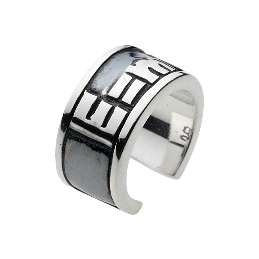 【cenote】シルバー925 イヤーカフ メンズ【e2081】フォーミュラ 相対性理論 アインシュタイン silver925 イヤカフ フェイクピアス 穴不要 片耳 送料無料