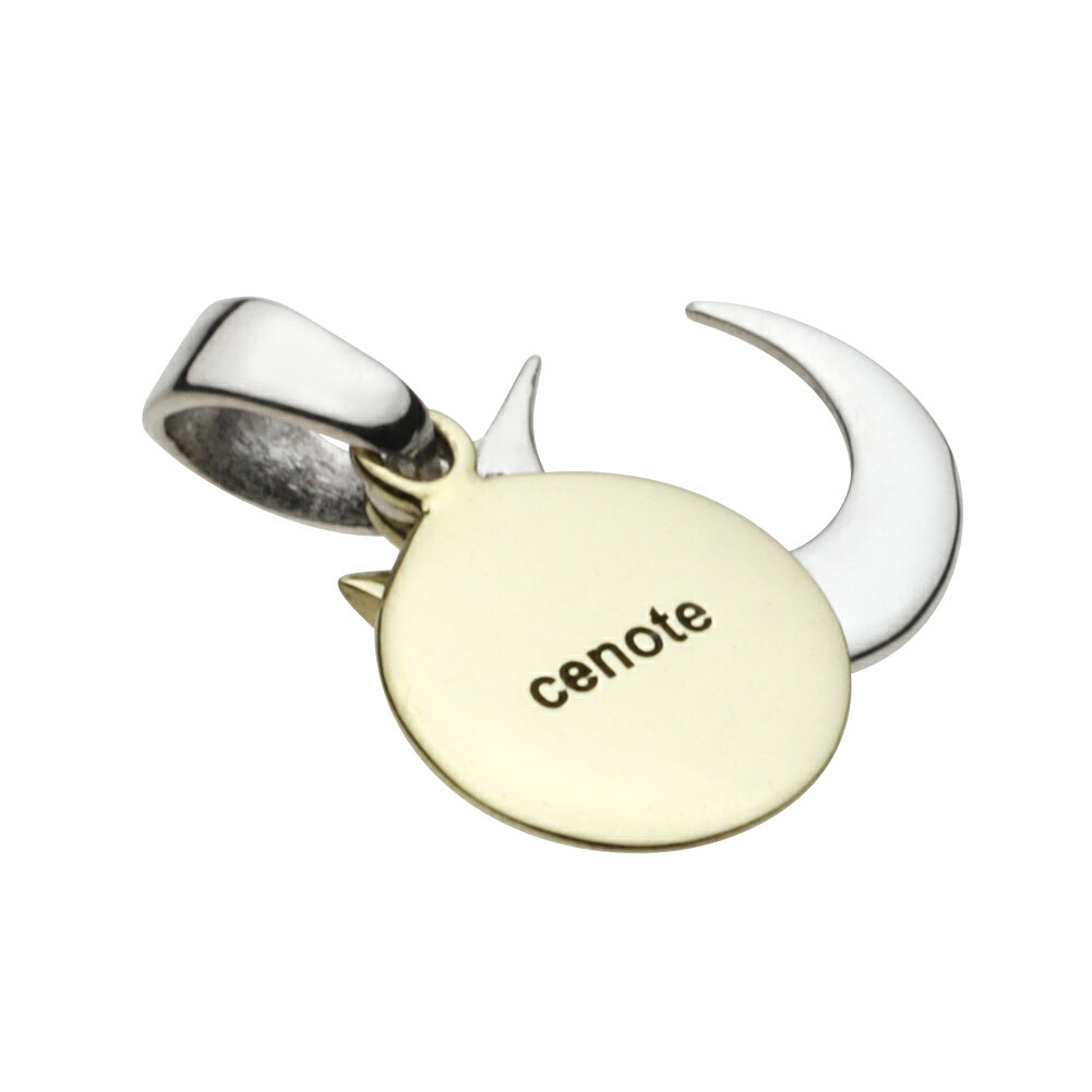 【セノーテ】 cenote-p0376 三日月 星 太陽ペンダント シルバー925 シルバーアクセサリー 純銀 925 ペンダント 月と星デザイン シルバーアクセ 星空モチーフ 天体シンボル ネックレストップ ムーン＆スター ジュエリー シルバーチャーム 天体観測の商品画像 3