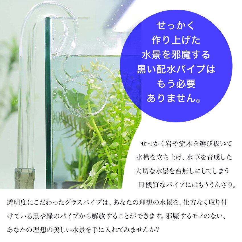 優しく水流をコントロールし 水景を邪魔しない ネイチャー アクアリウムに最適なスピンパイプ 水流の勢いを大幅にカットできるので 泳ぐ力が弱い熱帯魚でも大丈夫 Mony リリィパイプ エアレーション 熱帯魚 発売モデル アクアリウム 水槽セット 透明 ガラスパイプ 優しく水流をコントロールし 水景を邪魔しない ネイチャー アクアリウムに最適なスピンパイプ 水流の勢いを大幅にカットできるので 泳ぐ力が弱い熱帯魚でも大丈夫 Mony リリィパイプ エアレーション 熱帯魚 発売モデル アクアリウム 水槽セット 透明 ガラスパイプ