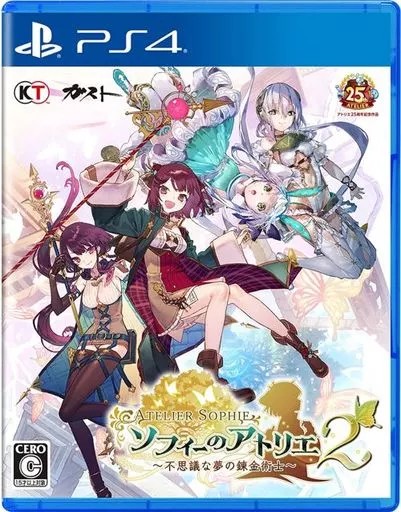 動作良好】ソフィーのアトリエ2 WonderGOO ワンダーグー Switch