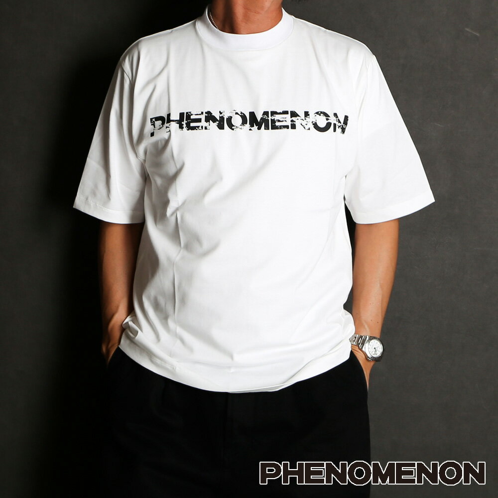 PHENOMENON /եΥΥ FOG OG LOGO SS TEE / 硼ȥ꡼T / ILLCS23F-015ڥ󥺡ۡڥǥۡڥ˥å̵ۡ