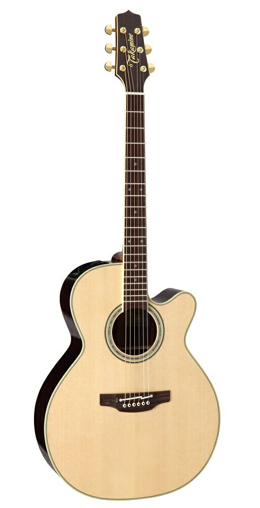 【送料無料】Takamine 《タカミネ》 PTU541C N アコースティックギター(エレアコ) [PTU-541C]