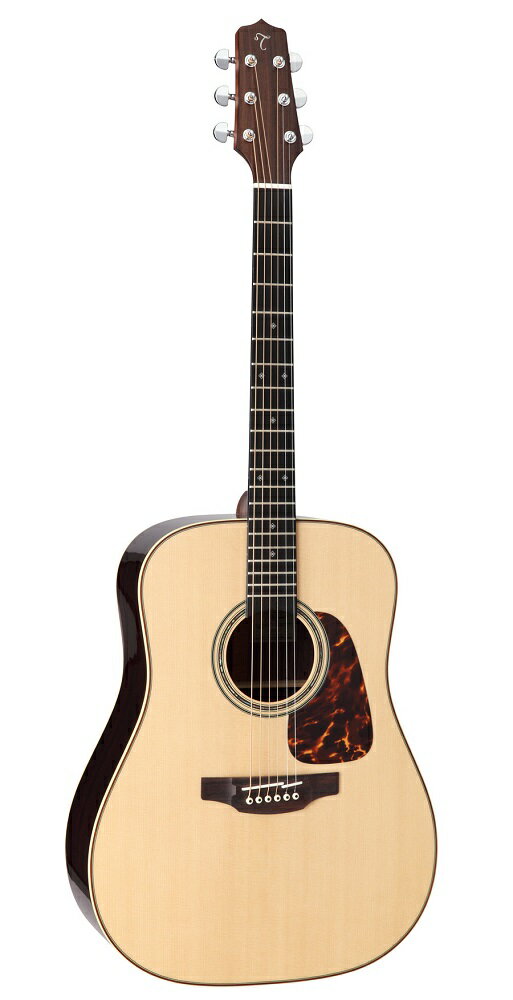 Takamine 《タカミネ》 SA261 N アコースティックギター 
