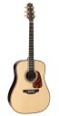 【送料無料】Takamine 《タカミネ》 SA200 N アコースティックギター [SA-200]