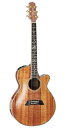 エレアコ100シリーズ 100-series DMP100K N &nbsp;・TOP：HAWAIIAN KOA (ARCHED)・BACK：HAWAIIAN KOA (ARCHED)・SIDES：HAWAIIAN KOA・NECK：MAHOGANY・FINGER BOARD：EBONY・SCALE：630mm・NUT WIDTH：42mm・PRE-AMP：CT4-DX (DMP)・POSITION MARK：GRASS FLOWER ・COLOR：N (gloss)・WITH CASE Position Mark Purfling CT4-DX(DMP) プリアンプ Preamp CT4-DX(DMP) &nbsp;タカミネのプリアンプCT4-DXは、006P/9Vバッテリー×2の18V高電圧ドライブにより、かつてない余裕のヘッドルームを実現。音量の最小/最大幅が大きいアコースティック・ギターの広いダイナミックレンジを充分に満たし、優しく奏でる穏やかな爪弾きから弦の揺れが見える程のハード・ピッキングまで、ピュアで歪みのない豊かなサウンドを実現します。 世界中のトップ・プロから認められているタカミネ・オリジナル・ブリッジピックアップ"パラスティック"に加え、任意のピックアップを接続するデュアル・モードを搭載。2系統のEQとノッチフィルターにより、それぞれのピックアップの個性を最大限に活かしたイコライジングと任意のミックス・バランス調整により、今までに無いフレキシブルなサウンドを提供します。通常の1ピックアップ・モードでは2グループのEQをリンクさせ4ポイントEQ&ノッチフィルター×2というプロ用PAコンソールにも匹敵するコントロールが可能となります。 ・CONTROL：VOLUME：LOW/Low-MID/High-MID/ HIGH/Notch.1/Notch.2（1PU Mode） LOW/HIGH/Notch×2（DUAL Mode） ・SWITCH：TUNER POWER ON-OFF（with MUTE） TUNER PITCH CHANGE NOTCH CUT LEVEL SELECT（-6db/-12db） ※画像はサンプル画像となります。 製品の性質上、木目は1本1本異なりますのでご了承くださいませ。 ※この商品は在庫が無い場合、ご注文からお届けまでお時間を頂きます。 ご迷惑をおかけしますが予めご了承下さい。 ※お急ぎの方はお手数ですが、納期をお問い合わせの上ご注文下さいませ。 【海外よりご注文のお客様へ】 【Towards the person who orders to our company from abroad】 ※ In the case of shipping overseas, it takes postage cost.