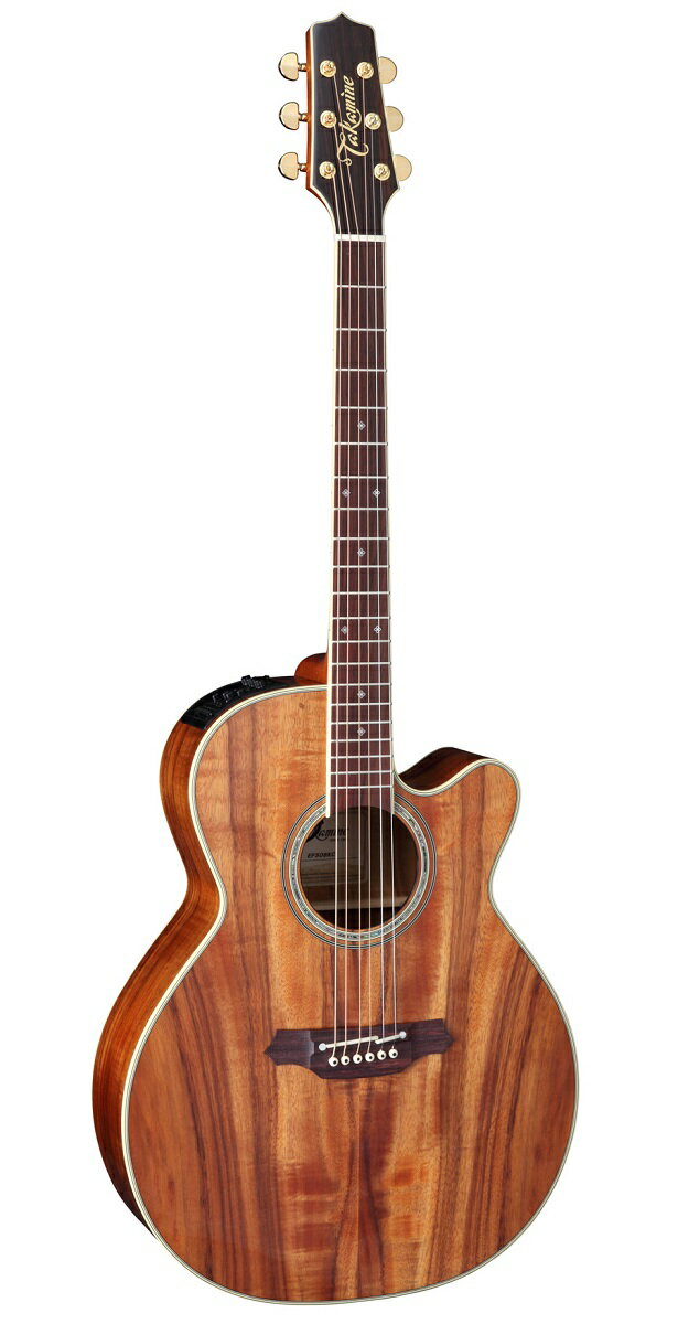 エレアコ500シリーズ 500-series TDP531KC N &nbsp;・TOP：HAWAIIAN KOA・BACK：HAWAIIAN KOA・SIDES：HAWAIIAN KOA ・NECK：MAHOGANY・FINGER BOARD：ROSEWOOD・SCALE：644mm・NUT WIDTH：42mm ・PRE-AMP：CTP-3 (TDP)・POSITION MARK：DIAMOND・COLOR：N (gloss)・WITH CASE Position Mark Purfling CTP-3 (TDP) プリアンプ Preamp CTP-3 (TDP) &nbsp;6V（単3電池×4本）の低電圧で真空管をドライブさせることで、駆動時に生じる発熱を抑制し、ギター本体へのマウントを可能にしたタカミネの最新プリアンプ「CTP-3」。 増幅回路に真空管を使用することで生み出される、ウォームで倍音豊かなサウンドは、アコースティック本来のナチュラルな響きを表現することが可能です。 真空管の駆動率を調整するCOOL TUBEの他、MIDコントロールで補正する周波数を設定可能なFREQ（フリクエンシー）コントロール。ハウリングポイントを任意にカットできるNOTCHフィルターと多彩なコントロール機能を搭載。 また「Tri-AX（マグネティックピックアップ）」や「コンタクトピックアップ」などのピックアップを増設することにより、更に多彩なサウンドメイキングが可能です。 CTP-3プリアンプでしか得られない、チューブドライブサウンドをご堪能下さい。 ・CONTROL：VOLUME LOW / MID（FREQ）/ HIGH COOL TUBE LEVEL NOTCH AUX PICKUP VOLUME・SWITCH：TUNER POWER ON-OFF（with MUTE） TUNER PITCH CHANGE NOTCH CUT LEVEL SELECT（-6db/-12db） ※画像はサンプル画像となります。 製品の性質上、木目は1本1本異なりますのでご了承くださいませ。 ※この商品は在庫が無い場合、ご注文からお届けまでお時間を頂きます。 ご迷惑をおかけしますが予めご了承下さい。 ※お急ぎの方はお手数ですが、納期をお問い合わせの上ご注文下さいませ。 【海外よりご注文のお客様へ】 【Towards the person who orders to our company from abroad】 ※ In the case of shipping overseas, it takes postage cost.