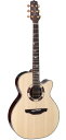 【送料無料】Takamine タカミネ DSF48C アコースティックギター(エレアコ)