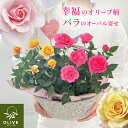商品画像3